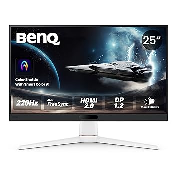 BENQ EX251