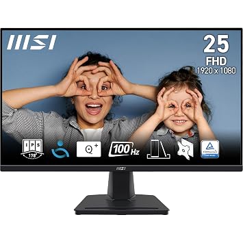 MSI MP252